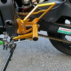 Kawasaki Ninja 250 SLの画像