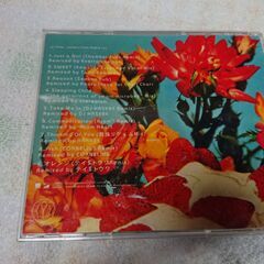 ♣　re*PINK BONNIE PINK 　「Let go」「Just a Girl」他を国内外のアーティストがヒップホップ、ダブ、ハウス、エレクトロニクスなどジャンルに捕われずにリミックスした、Bonnie Pinkのリミックス・アルバム。エイベックス、ポニーキャニオンとの合同企画"BONNIE'S DINER"キャンペーン対象商品。の画像