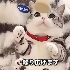 【気軽に】良い付き合いが出来る方募集