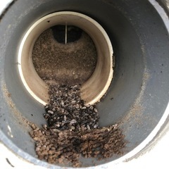 茨城県の害獣、害虫駆除ならお任せを - 害虫/害獣駆除