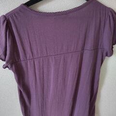 レディース Tシャツ Mの画像