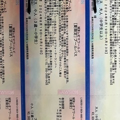 NEW レオマワールド　プールパス3枚　大人＋小人＋小人　2024年9月24日までの画像