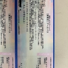 NEW レオマワールド　プールパス3枚　大人＋小人＋小人　2024年9月24日までの画像