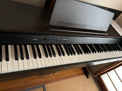 カシオ・セルビアーノ・AP250