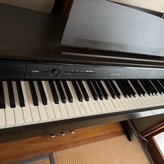 カシオ・セルビアーノ・AP250