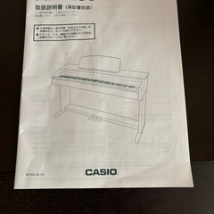 カシオ・セルビアーノ・AP250の画像
