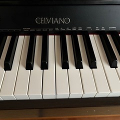 カシオ・セルビアーノ・AP250の画像