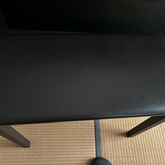 カシオ・セルビアーノ・AP250の画像