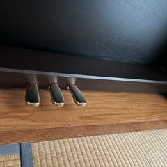 カシオ・セルビアーノ・AP250の画像