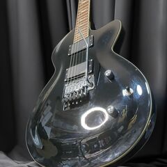 Daisy Rock エレキギターの画像