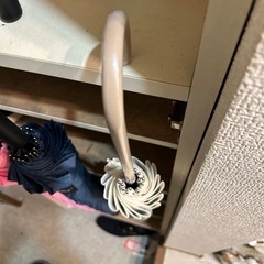 レディース　16本　傘の画像