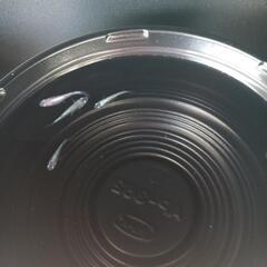 9/15めだか販売の画像