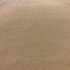 刺繍帯　　　　　　　　　の画像