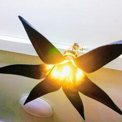 1 アジアン★エスニック　ライトの画像