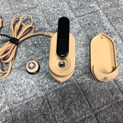 アイロン 携帯アイロン　資生堂の画像