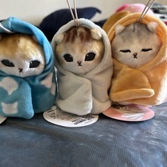 包まれにゃんこ ぬいぐるみの画像