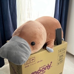 カモノハシのぬいぐるみ茶
