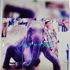ONLINE　高槻タイ語教室　サバーイサバーイの画像