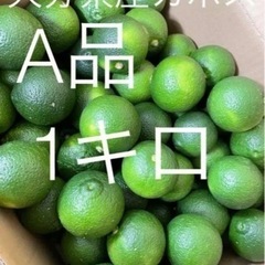 大分県産カボスA品　