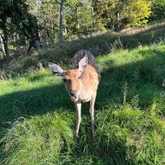 一緒に山登り行きませんか（１０月５日　空沼岳)