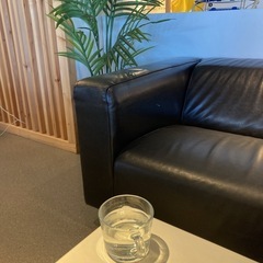 ⭐️9月20日(金)3時から5時「スキッと雑談会」開催😊 - その他