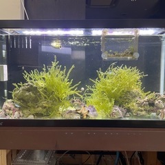90cmオーバーフロー水槽