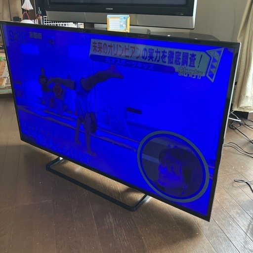 Panasonic パナソニック TH-49D300 液晶テレビ 49V型 2015年製  訳あり