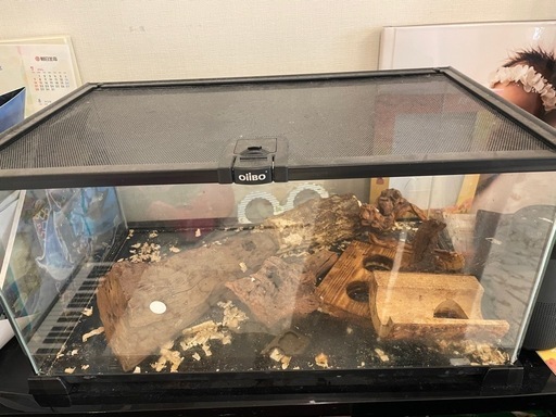 昆虫、爬虫類飼育ケース(ガラス)