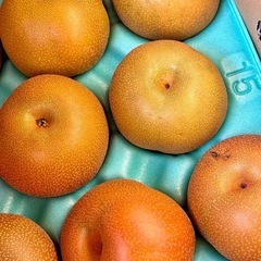 受付終了・新潟県産『豊水』赤梨訳あり5kg ①