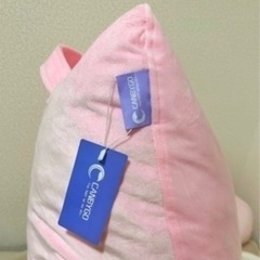 CANBYGO 背もたれクッションの画像