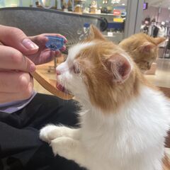 まずはお話だけでも！