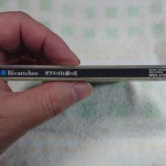 ♣　ガラスの月と銀の花 Bivattchee 　日本語のロックの本命サムライ四人衆ビバッチェのメジャー・ファーストアルバム！話題を呼んだシングル「桜の花が散る前に/紅茶の恋」を筆頭に、7万枚の実績を持つインディーズ時代の名作「青いカラス」を超えるセンチメンタリズムが詰まった楽曲は、小説や、映画のように映像が浮かび、胸を打ちます。の画像
