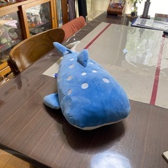 美ら海水族館ジンベエザメぬいぐるみです！