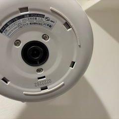 ケトル タイガーの画像