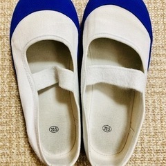 上履き　20.5 幅広　ブルー