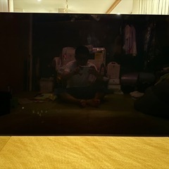 BRAVIA 有機el 55型 テレビ SONY