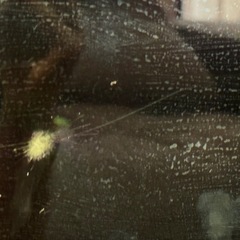 BRAVIA 有機el 55型 テレビ SONYの画像