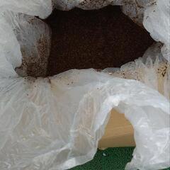 ヘラクレスカブト　マット　RUSHレギュラーマット　50Lの画像