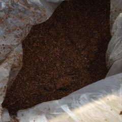 ヘラクレスカブト　マット　RUSHレギュラーマット　50Lの画像