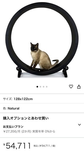週末値下げ！キャットホイール キャットトラック エクササイズホイール