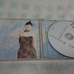 ♣　Wild Flower 松居慶子 　ヨーロッパ進出を視野に入れ、 欧州のチルアウト・ジャズやアンビエントといった要素を取り入れた 意欲作を５曲収録！の画像