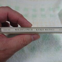 ♣　Wild Flower 松居慶子 　ヨーロッパ進出を視野に入れ、 欧州のチルアウト・ジャズやアンビエントといった要素を取り入れた 意欲作を５曲収録！の画像
