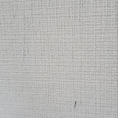 壁紙修復 モニター募集 - 高島市