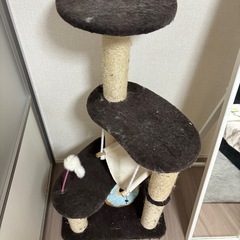 キャットタワーの画像