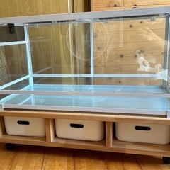 決まりました⭐︎パンテオン9045ホワイト