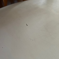ダイニングテーブルの画像
