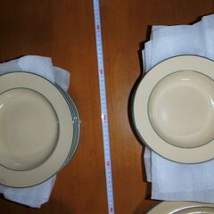 未使用　アダムとイヴのセットの食器　お皿の画像