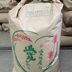 コシヒカリ　新米30㎏　玄米　令和6年9月収穫