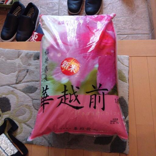 ☆新米☆華越前 10kg 令和6年度 新米