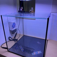 コトブキ　レグラス　キューブ水槽　ブラックシリコン美品